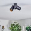 Daril ceiling light, ceiling spotlight black, 2-light sources