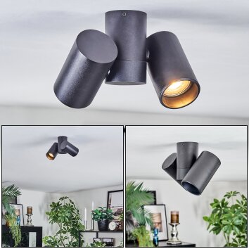 Daril ceiling light, ceiling spotlight black, 2-light sources