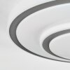 Borin ceiling light LED grey, white, 1-light source