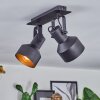 Tylar ceiling light, ceiling spotlight black, 2-light sources