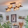 Koyoto ceiling light, globe light gold, black, 8-light sources