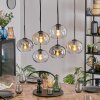 Apedo hanging light, globe light, pendant light Amber, clear, Smoke-coloured, 6-light sources