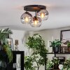 Koyoto ceiling light, globe light 30 cm clear, Smoke-coloured, 3-light sources