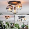 Gastor ceiling light, globe light Amber, clear, Smoke-coloured, 3-light sources