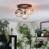 Gastor ceiling light, globe light Amber, clear, Smoke-coloured, 3-light sources