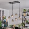 Koyoto hanging light, globe light, pendant light chrome, clear, Smoke-coloured, 6-light sources
