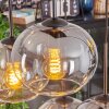 Apedo hanging light, globe light, pendant light Amber, clear, Smoke-coloured, 6-light sources