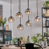 Ripoll hanging light, globe light, pendant light clear, Smoke-coloured, 6-light sources