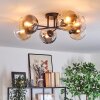 Koyoto ceiling light, globe light Amber, clear, Smoke-coloured, 6-light sources