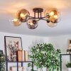 Koyoto ceiling light, globe light Amber, clear, Smoke-coloured, 6-light sources