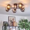 Gastor ceiling light, globe light clear, Smoke-coloured, 6-light sources