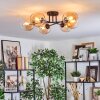 Koyoto ceiling light, globe light Amber, clear, 6-light sources