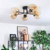 Koyoto ceiling light, globe light Amber, clear, 6-light sources