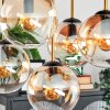 Gastor ceiling light, globe light gold, black, 5-light sources