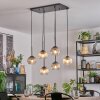 Koyoto hanging light, globe light, pendant light Amber, clear, Smoke-coloured, 6-light sources