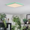 Zuren ceiling light, Panel LED white, 1-light source, Colour changer
