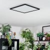 Zuren ceiling light, Panel LED black, 1-light source, Colour changer