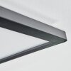 Zuren ceiling light, Panel LED black, 1-light source, Colour changer