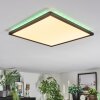 Zuren ceiling light, Panel LED black, 1-light source, Colour changer