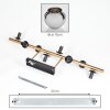 Koyoto ceiling light, globe light gold, black, 8-light sources