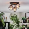 Koyoto ceiling light, globe light clear, Smoke-coloured, 3-light sources
