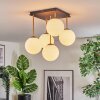 Gastor ceiling light, globe light gold, black, 5-light sources
