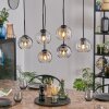 Koyoto hanging light, globe light, pendant light Amber, clear, Smoke-coloured, 6-light sources