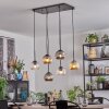 Ripoll hanging light, globe light, pendant light Amber, clear, Smoke-coloured, 6-light sources