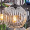 Ripoll hanging light, globe light, pendant light Amber, clear, Smoke-coloured, 6-light sources