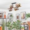 Koyoto ceiling light, globe light gold, black, 8-light sources