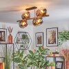 Koyoto ceiling light, globe light gold, black, 8-light sources