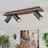 Dalan ceiling light, ceiling spotlight LED Ecru, black, 3-light sources