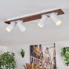 Dalan ceiling light, ceiling spotlight LED Ecru, white, 4-light sources