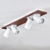 Dalan ceiling light, ceiling spotlight LED Ecru, white, 4-light sources