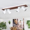 Dalan ceiling light, ceiling spotlight LED Ecru, white, 4-light sources