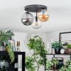 Gastor ceiling light, globe light 30 cm Amber, clear, Smoke-coloured, 3-light sources
