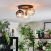 Koyoto ceiling light, globe light 30 cm Amber, clear, Smoke-coloured, 3-light sources