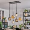 Ripoll hanging light, globe light, pendant light Amber, clear, Smoke-coloured, 6-light sources