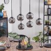 Ripoll hanging light, globe light, pendant light Smoke-coloured, 6-light sources