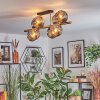 Ripoll ceiling light, globe light gold, black, 8-light sources