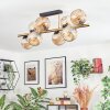 Ripoll ceiling light, globe light gold, black, 8-light sources