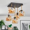 Ripoll ceiling light, globe light gold, black, 5-light sources