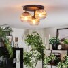 Koyoto ceiling light, globe light clear, Smoke-coloured, 3-light sources