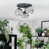 Koyoto ceiling light, globe light clear, Smoke-coloured, 3-light sources