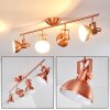 TINA ceiling light copper, 4-light sources