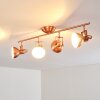 TINA ceiling light copper, 4-light sources
