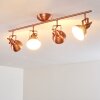 TINA ceiling light copper, 4-light sources