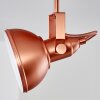 TINA ceiling light copper, 4-light sources