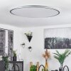 Champa Ceiling Light LED silver, 1-light source, Remote control