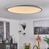 Champa Ceiling Light LED silver, 1-light source, Remote control